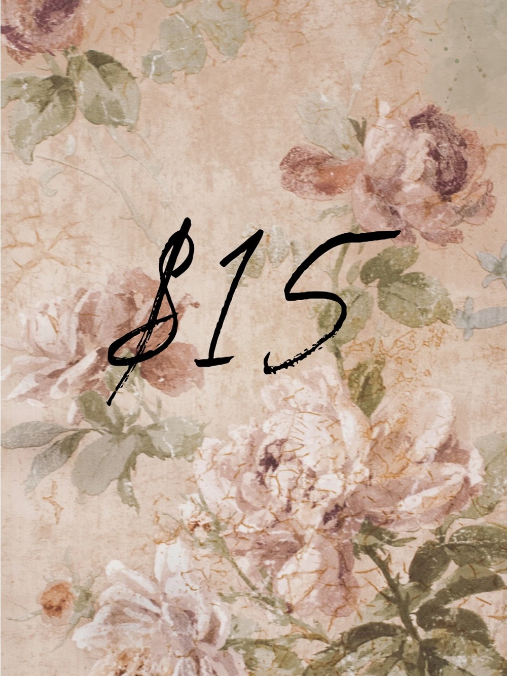 $15 Start